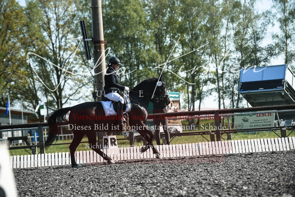 DSC_8635 | Pferde- und Turnierfotografie in Westsachsen. Pferdeportraits, Auftragszeichnungen und intuitive Kunst.