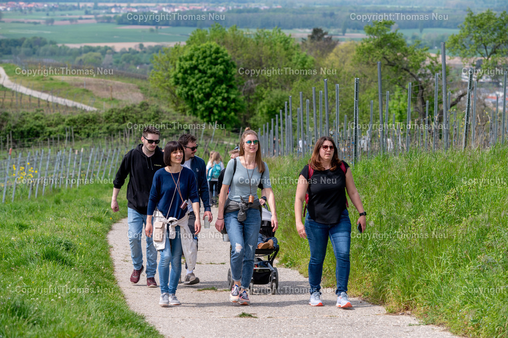 DSC_9951 | bre, Bergsträßer Weinlagenwanderung,,Rast oberhalb des Fürstenlagers,  Bild: Thomas Neu