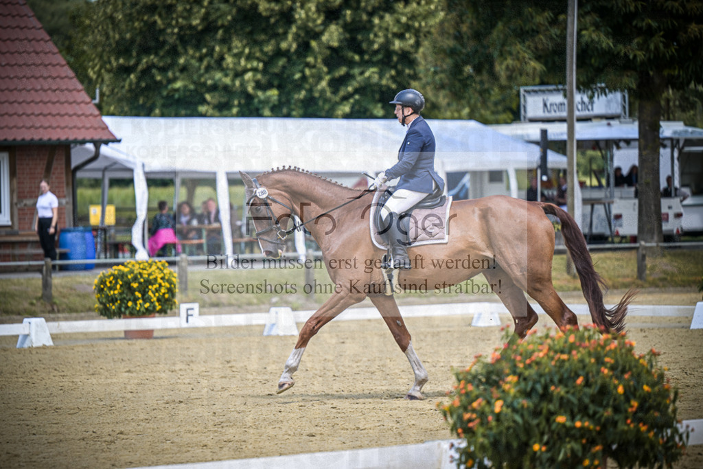 DOS_5031 | Entdecke hochwertige Reitturnierfotos von Foto Oger. Professionell, emotional und authentisch – jetzt Lieblingsmomente im Shop bestellen.Deutschlandweite Turnierfotografie. - Realisiert mit Pictrs.com