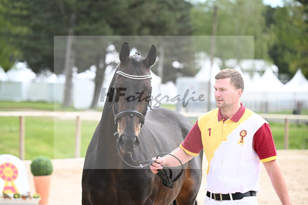 Poker de Mariposa TN x Diarado_HF_Fischer_11240099 | hf-fotografie - Realisiert mit Pictrs.com