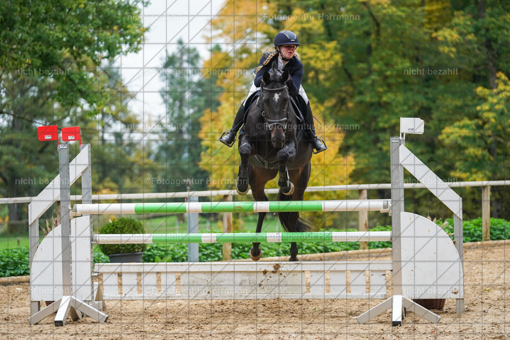 20221009-FAH08987 | Diessen am Ammersee, 2022, Dressur- und Springturnier, Reitsportbilder, Turnierfotografen Bayern, Pferdefotografen, Fotoagentur Herrmann, Turnierbilder