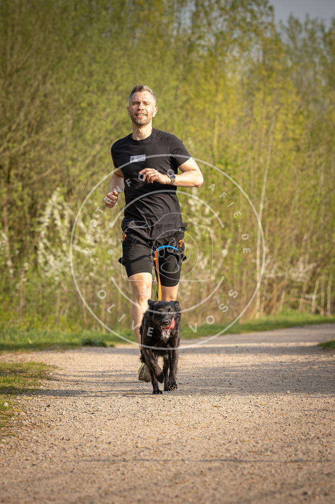 Pfotenfotografie_DV3A4519 | Hundefotografie, Tierfotograf, Pfotenfotografie, Fotoshooting Hund, Hunde Portrait, Hundesport, Hundeportraits, Heideshooting, Hunde, Sportfotograf, Hundefotograf, Turnierhundsport, THS,  - Realisiert mit Pictrs.com