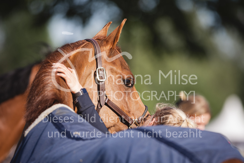 220603_CSI-Wohlde_Chillen-21 | Oerlinghausen Währentrup 26.08.2021, Stilspringprüfung Kl.A*
