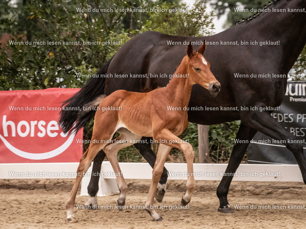 A10I5236 | photographylinaismer - Realisiert mit Pictrs.com