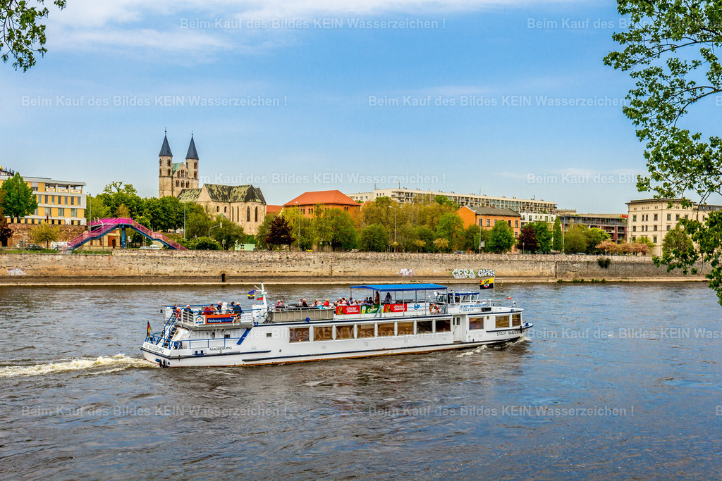 Magdeburg Elbe Schleinufer Weiße Flotte-9366 | Oft braucht es kein außergewöhnliches Motiv – sondern einfach den richtigen Moment.Ein vorbeifahrendes Schiff, ruhiges Wasser und ein markanter Hintergrund reichen häufig aus, um ein stimmungsvolles Bild entstehen zu lassen. Halten Sie die Augen offen – manchmal fährt das Motiv ganz von allein ins Bild. - Realisiert mit Pictrs.com