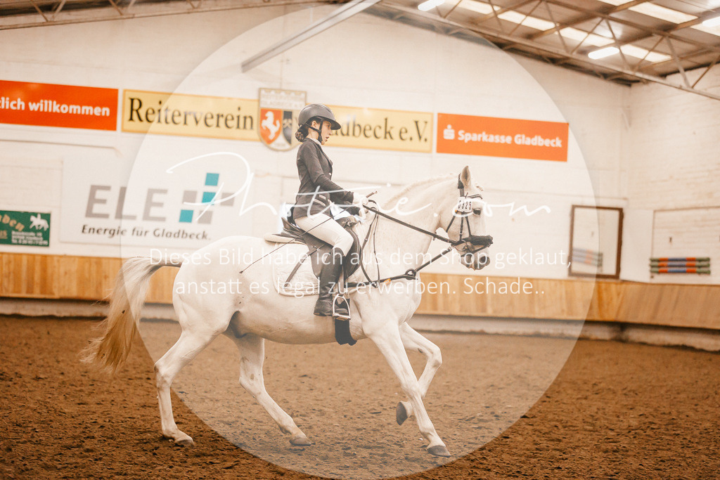3I6A6397 | Stimmungsvolle Portraits und Reitsportfotografie im Ruhrgebiet und im Münsterland.

Pferdefotografie, Hundefotografie, Tierfotografie, Reportagen, Portraits von Tier und Mensch, Turnierfotografie in Bochum, Recklinghausen, Marl, Haltern am See, Dülmen.. - Realisiert mit Pictrs.com