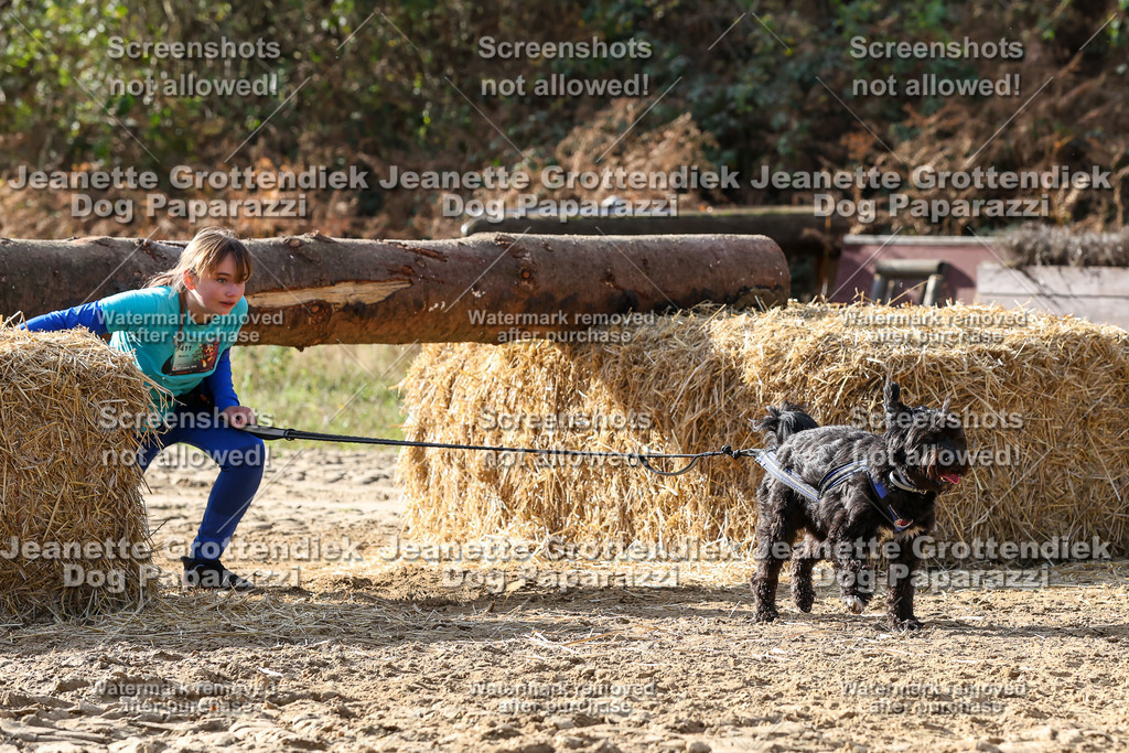 Dog Paparazzi - Strongdog 10-25-5894 | Dog Paparazzi Jeanette Grottendiek Fotografie & Videografie - Realisiert mit Pictrs.com