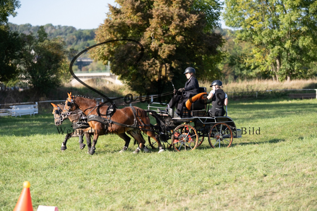 A7V04633 | Pferdefotograf