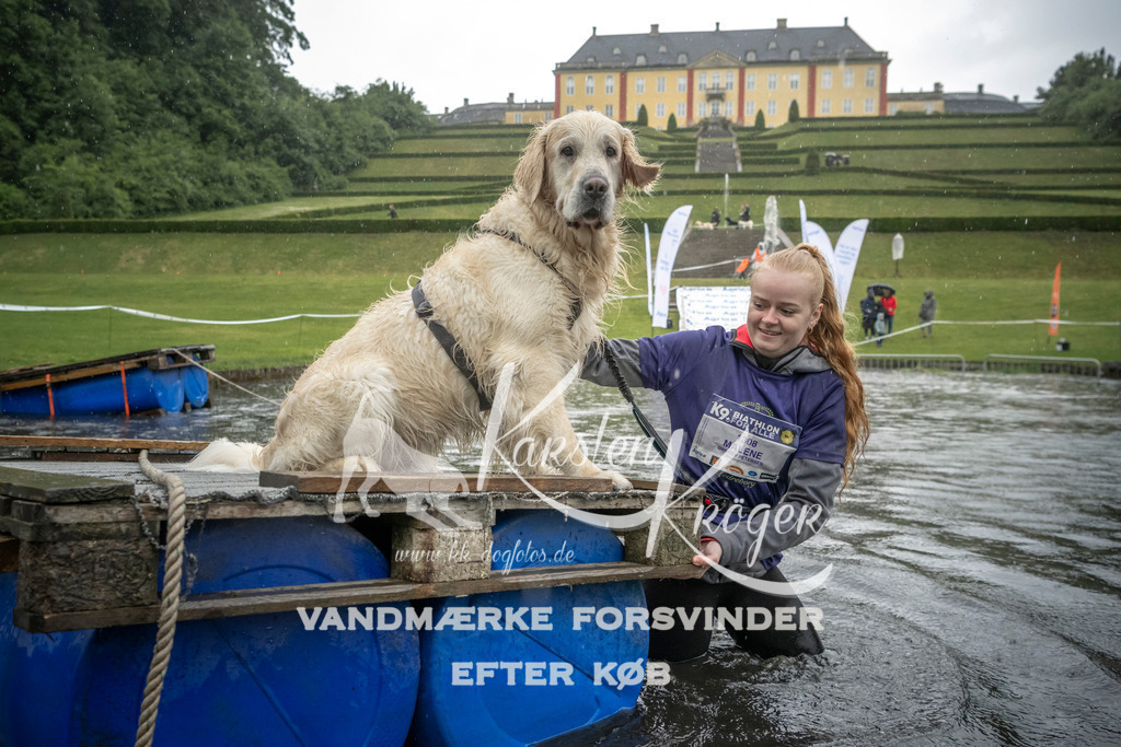 1328_ZZ98668 | kk-dogfotos