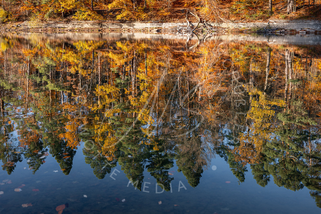 2025-10-30 Herbst Baerenseen Stuttgart 052 | Schwotte Media - Realisiert mit Pictrs.com