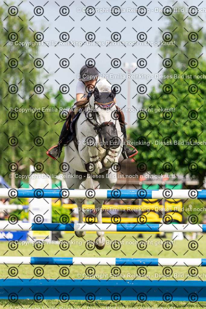 CL5A0235 | Emilia Reinking Fotografie - Realisiert mit Pictrs.com