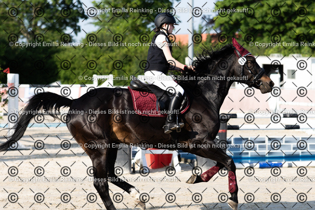 CL5A1369 | Emilia Reinking Fotografie - Realisiert mit Pictrs.com