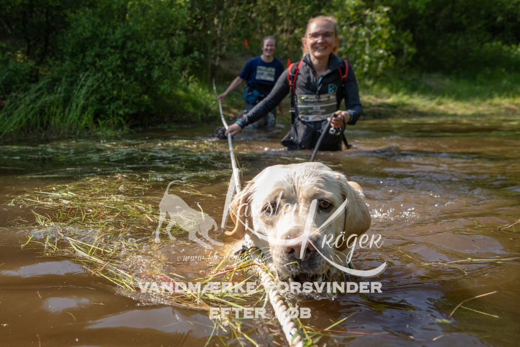 1627DKK990536 | kk-dogfotos