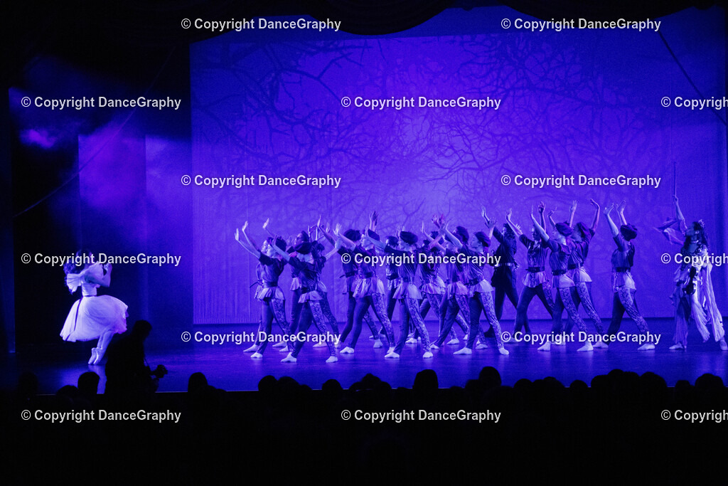 GPHY1711 | DanceGraphy - Realisiert mit Pictrs.com