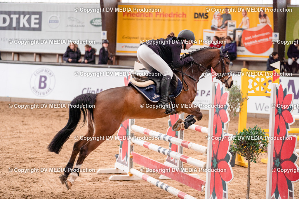 Kranichstein Tag 3-313 | dv-media-shop - Realisiert mit Pictrs.com