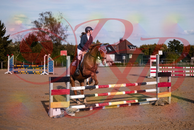 2026_10_03_Siefer-Hof_171151_Z81_08497988 | Professionelle Reitsport-, Turnier- und Eventfotografie von Robert Broda. Galerien mit ausgewählten und bearbeiteten Bildern direkt online ansehen und bestellen.