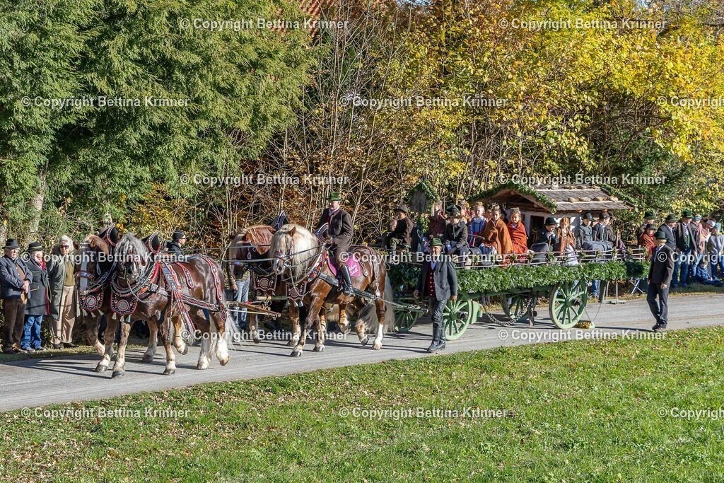 LBT25-386 | foto-bettina-krinner - Realisiert mit Pictrs.com