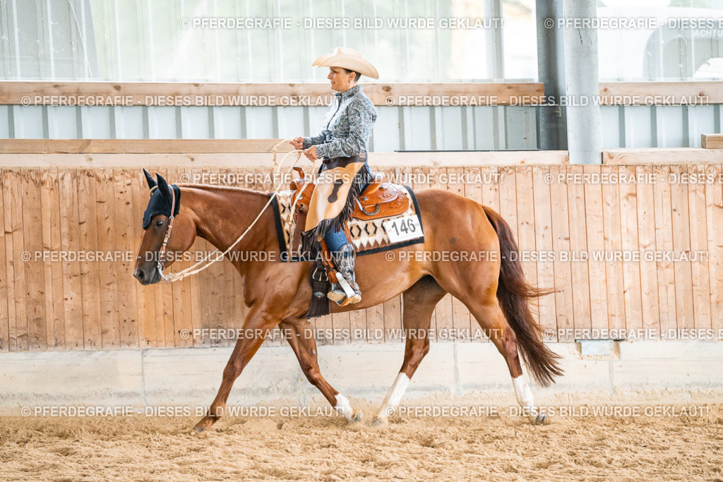 DSC00588 | Pferdegrafie