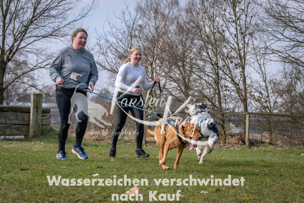 _ZZ90653 | kk-dogfotos