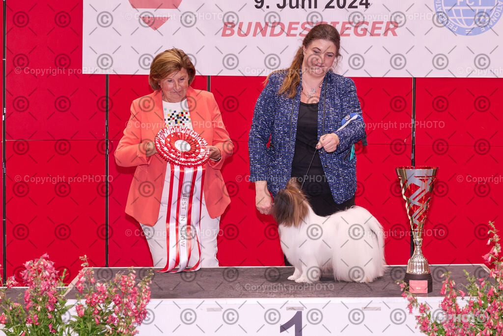 202406_ÖKV-IHA-Tulln24_NZ9_9616 | proPHOTO - Realisiert mit Pictrs.com