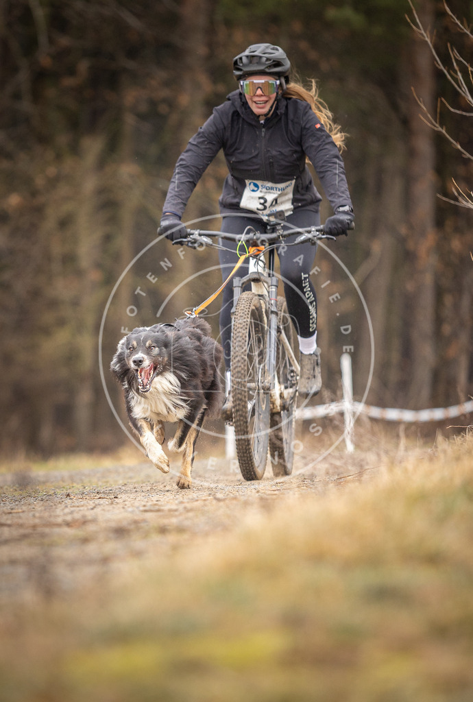 DV3A3351 | Hundefotografie, Tierfotograf, Pfotenfotografie, Fotoshooting Hund, Hunde Portrait, Hundesport, Hundeportraits, Heideshooting, Hunde, Sportfotograf, Hundefotograf, Turnierhundsport, THS,  - Realisiert mit Pictrs.com