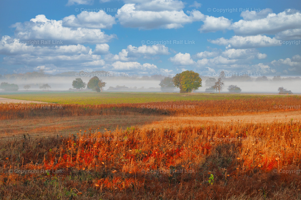Rheinauen_01 | Stockfotos, Fotos mit Miniaturfiguren und kreativen Ideen. Dabei auch vieles aus der Metropolregion Rhein-Neckar. 