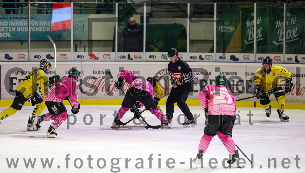 2025-10-10_077_TSV_Erding_gegen_onesto_Tigers_Bayreuth | Erding, Deutschland, 10.10.2025:Eishockey, Oberliga Süd 2025 / 2026, 7. Spieltag, TSV Erding gegen onesto Tigers Bayreuth, Endergebnis: 2:5Kyle Bollers (onesto Tigers Bayreuth, #88), Erik Modlmayr (Erding Gladiators, #21), Foto: Christian Riedel / fotografie-riedel.net