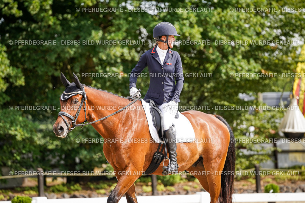 DSC07588 | Pferdegrafie