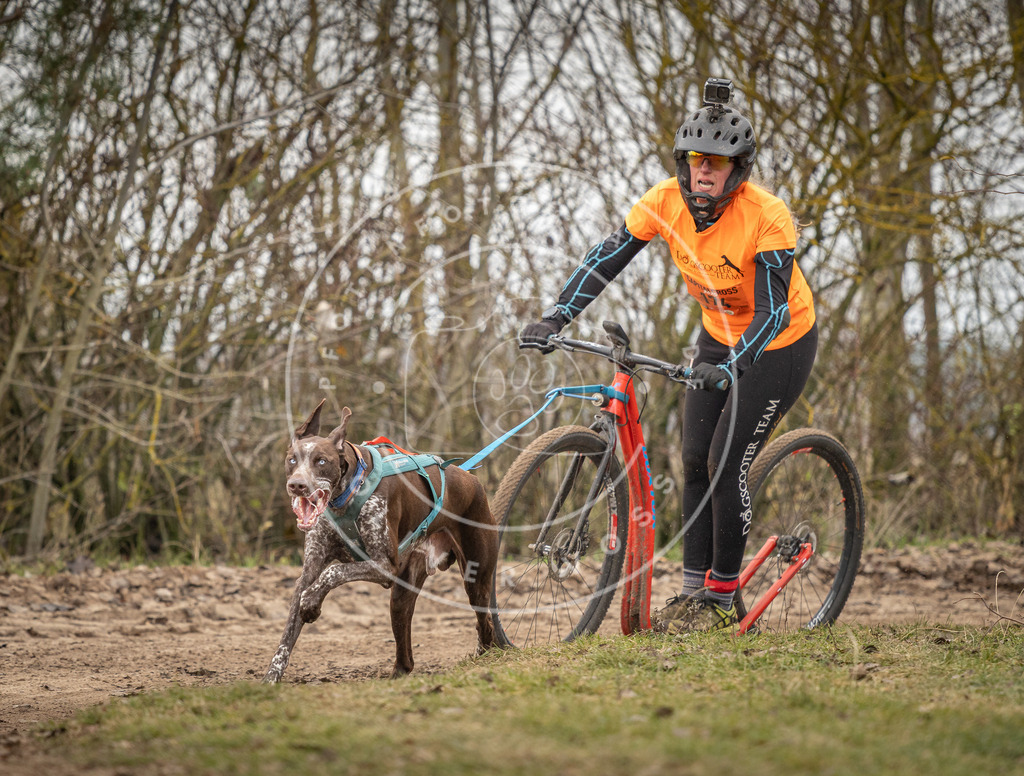 Pfotenfotografie_DV3A9782 | Hundefotografie, Tierfotograf, Pfotenfotografie, Fotoshooting Hund, Hunde Portrait, Hundesport, Hundeportraits, Heideshooting, Hunde, Sportfotograf, Hundefotograf, Turnierhundsport, THS,  - Realisiert mit Pictrs.com
