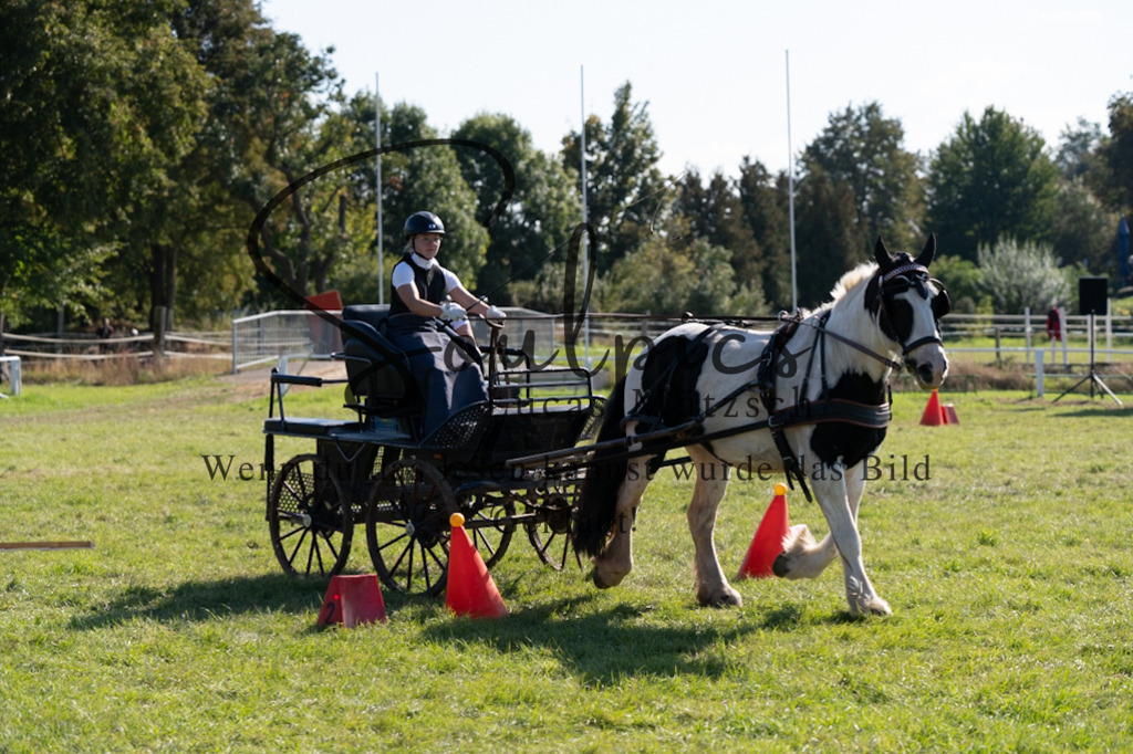 A7V04371 | Pferdefotograf