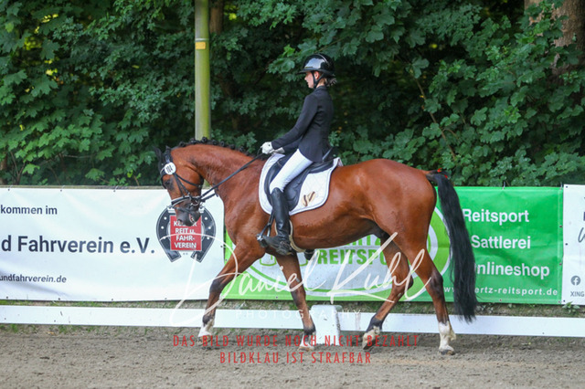 DKP43162 | Turniersportfotografie; Pferdefotografie; Dressurfotografie