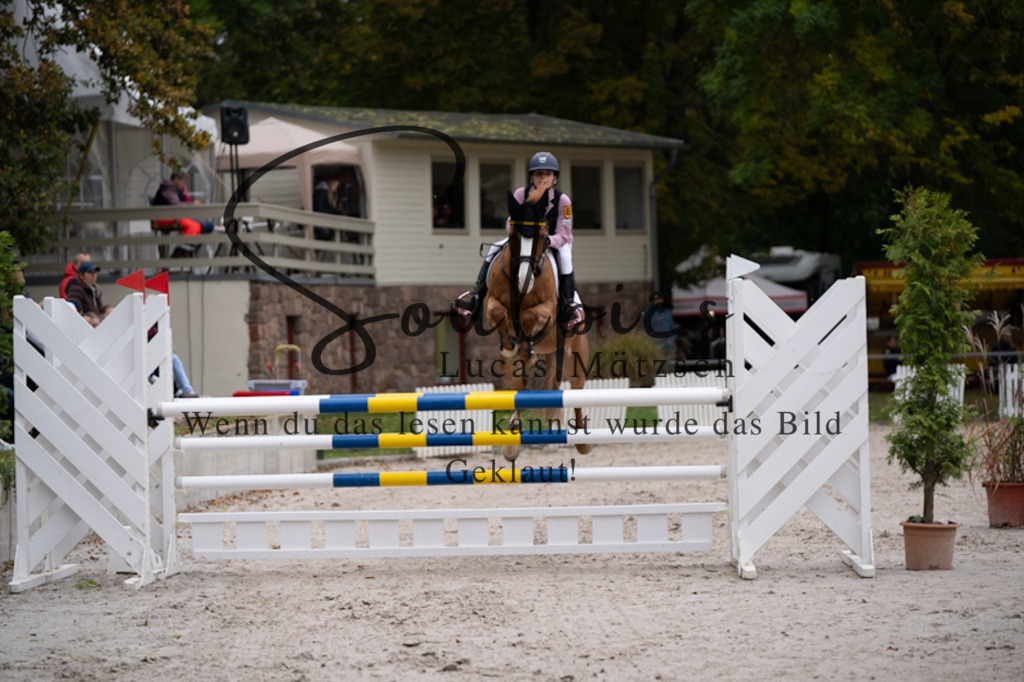 A7V09098 | Pferdefotograf