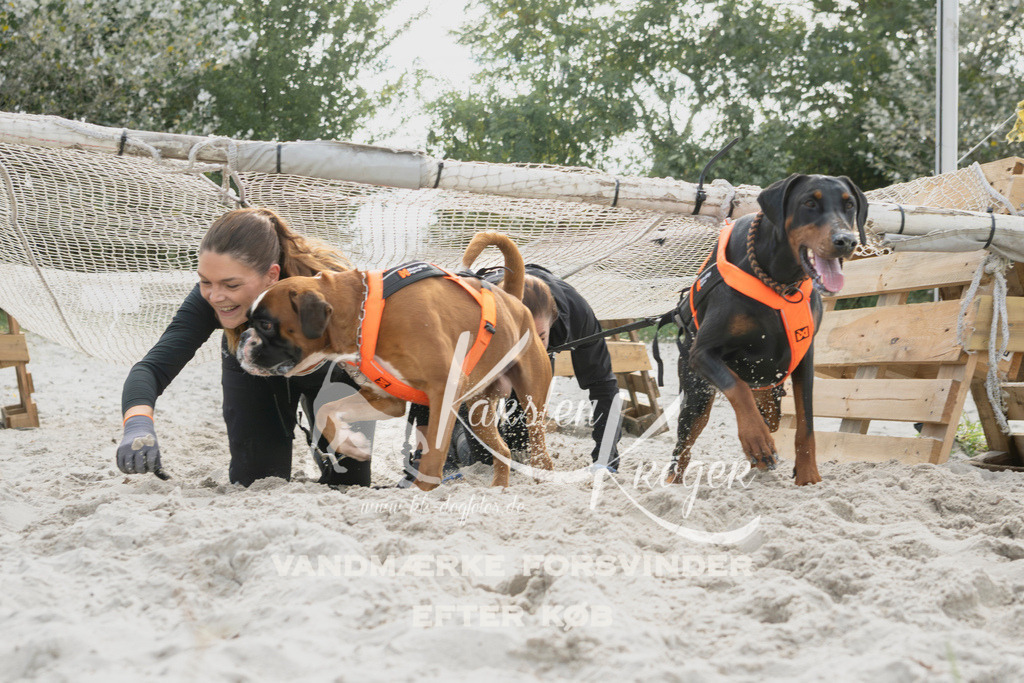 1305_ZZ94692 | kk-dogfotos
