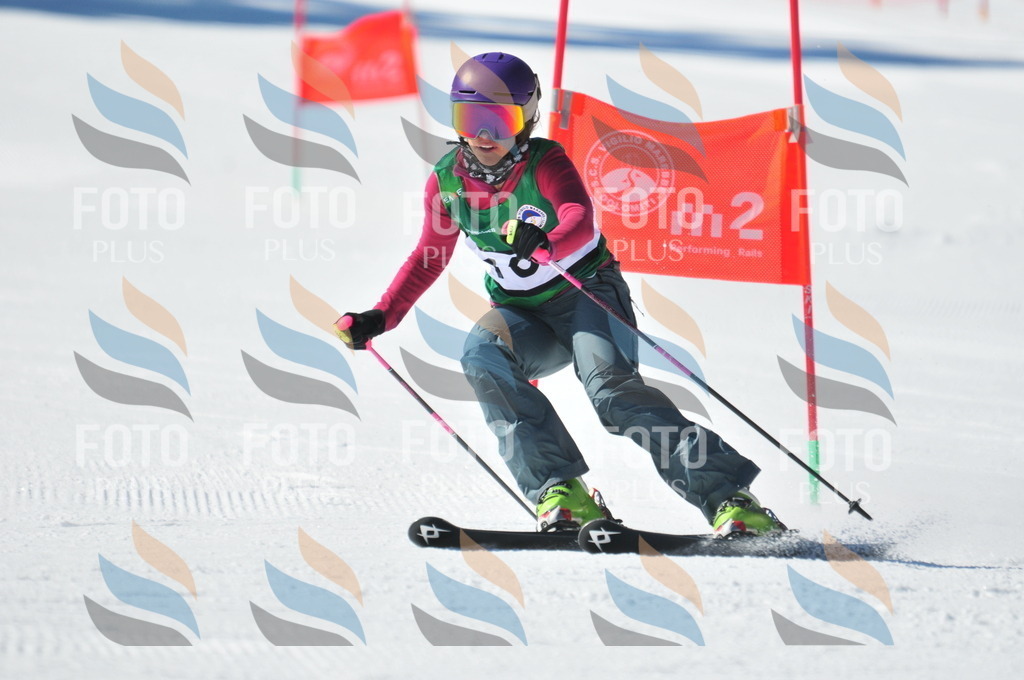 C4121 | holidayphoto