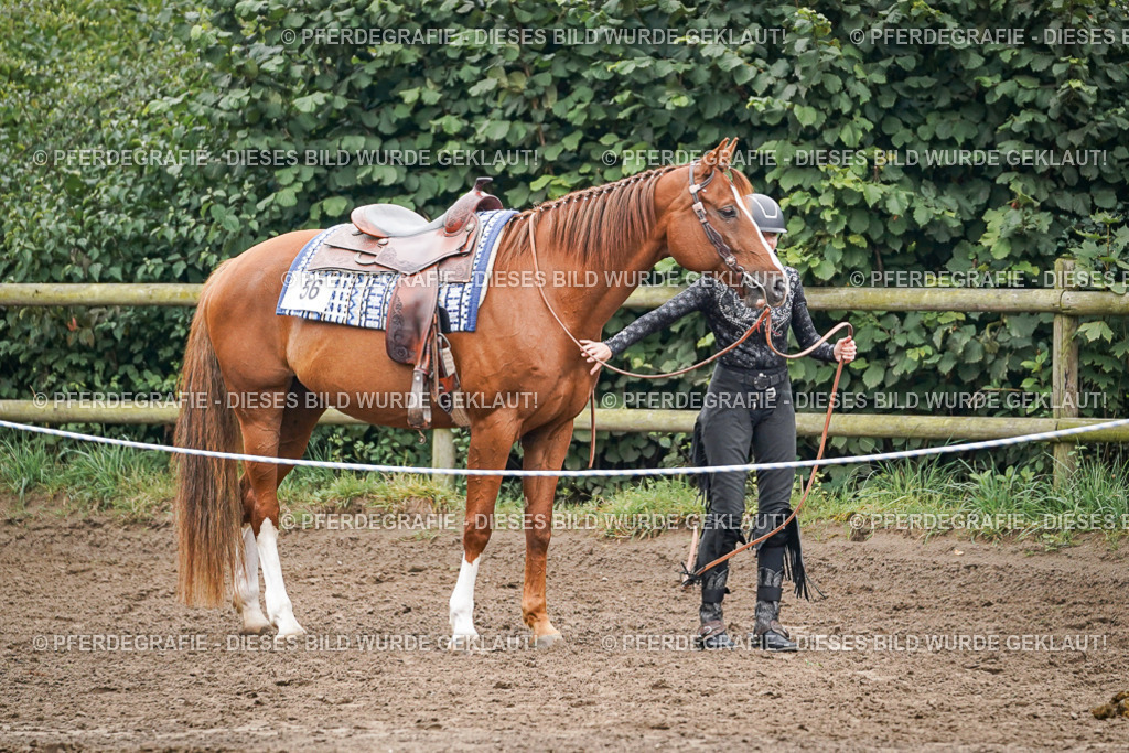 DSC02468 | Pferdegrafie