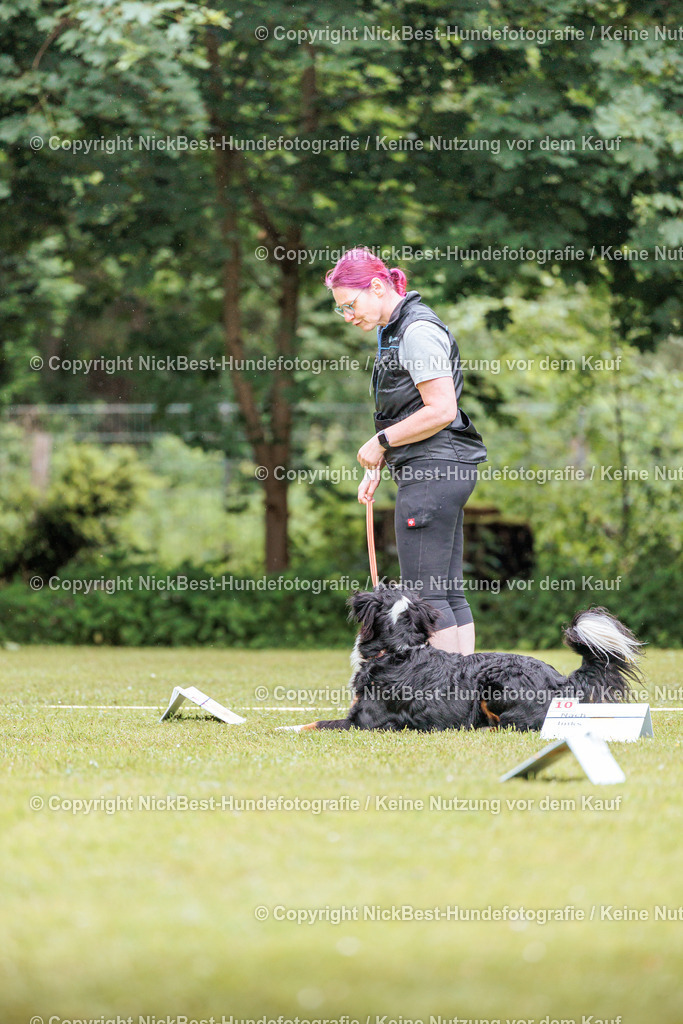 RO-Blumenthal-2026-Nickbest-Hundefotografie-3796 | Dein Hund! Dein Moment! Deine Erinnerungen! Hundefotografie in Bremen Blumenthal. Ich fange die besonderen Momente deines Vierbeiners ein – ob Indoor mit Blitzanlage oder in der freien Natur. Sicher dir dein Moment und dein Termin für eure Erinnerungen.