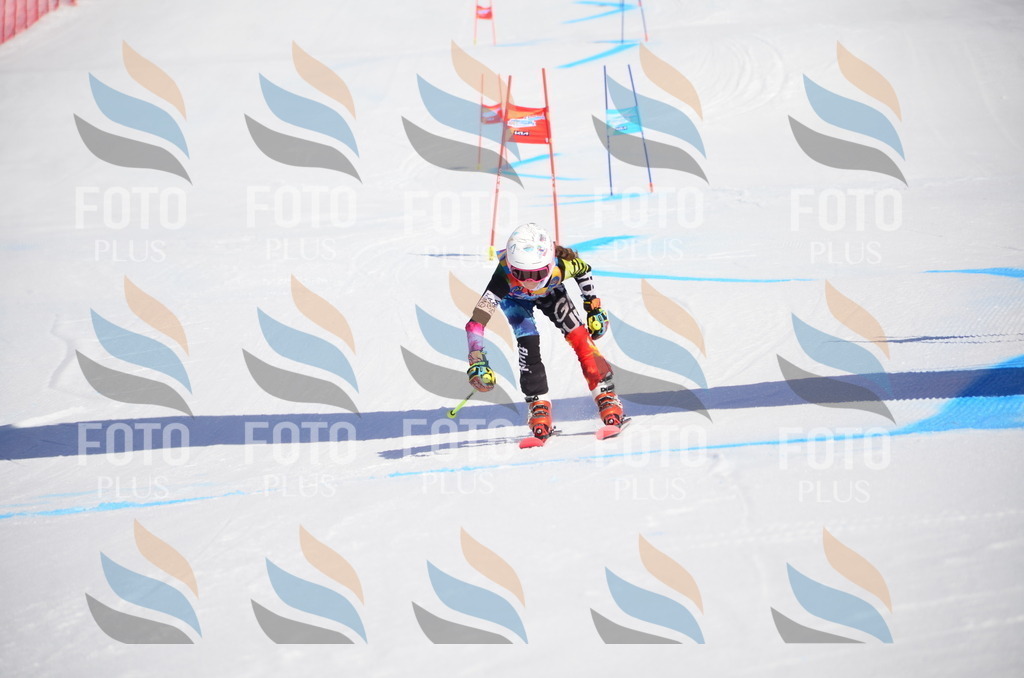 VR4_9608 | holidayphoto