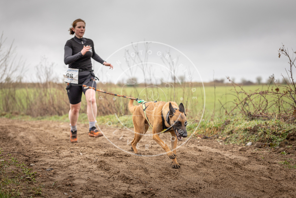 DV3A0148 | Hundefotografie, Tierfotograf, Pfotenfotografie, Fotoshooting Hund, Hunde Portrait, Hundesport, Hundeportraits, Heideshooting, Hunde, Sportfotograf, Hundefotograf, Turnierhundsport, THS,  - Realisiert mit Pictrs.com