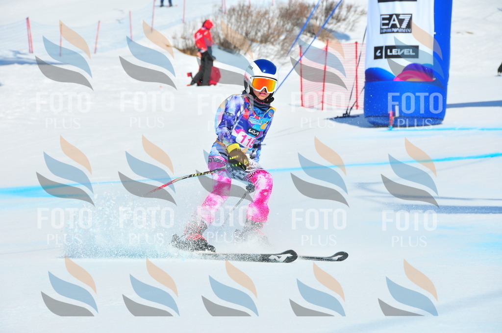 DSC_4717 | holidayphoto