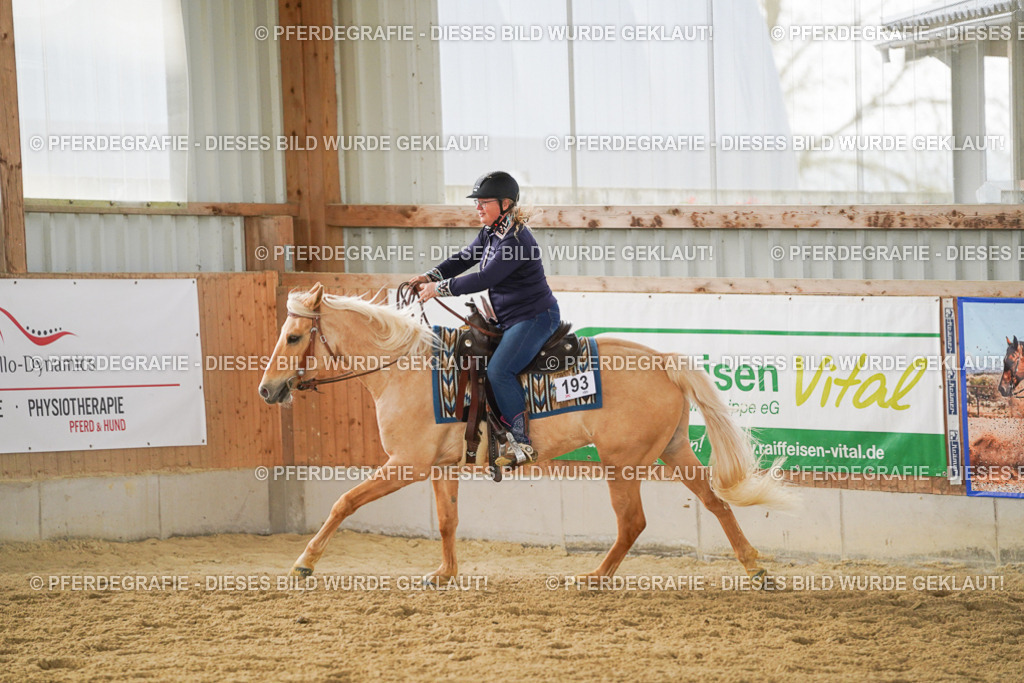 DSC06416 | Pferdegrafie