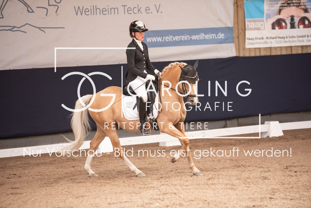 DSC_3353 | Carolin Gieschke