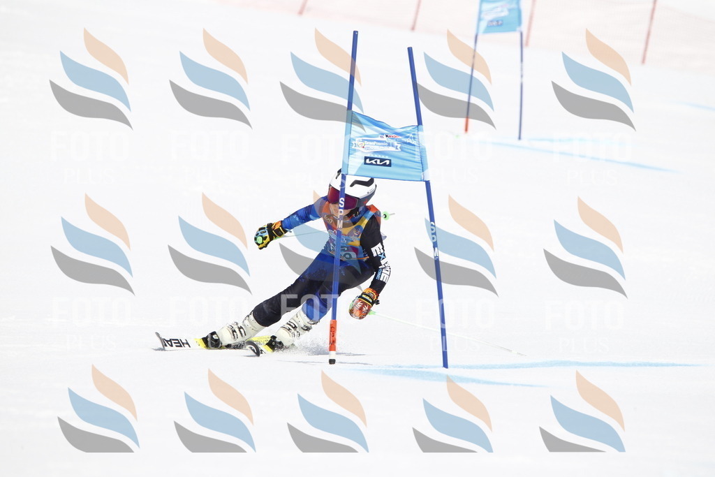 _U3G5390 | holidayphoto