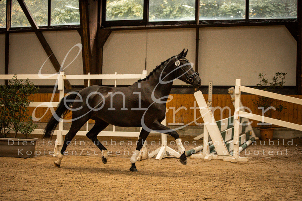 1FS_L00097 | Leoni Ertmer Photography - Realisiert mit Pictrs.com