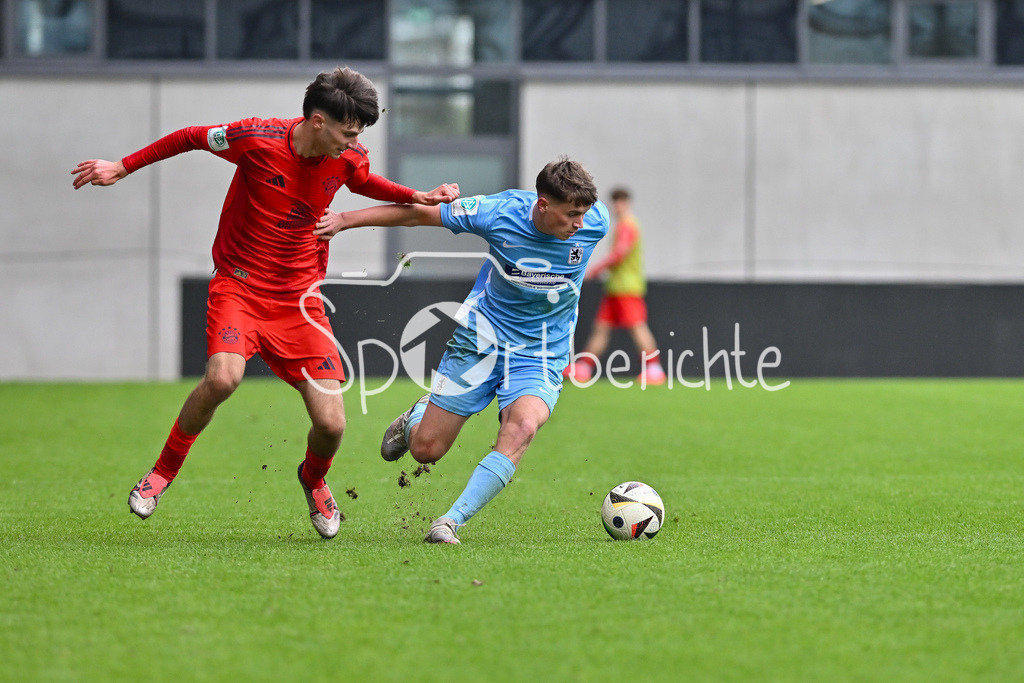 FC Bayern München U19 - TSV 1860 München U19 | Im Duell Roko MIJATOVIC (FCB #6) und Finn FUCHS (TSV 1860 Muenchen U19 #3) / Zweikampf / U19 DFB Nachwuchsliga: FC Bayern Muenchen U19 - TSV 1860 Muenchen U19, FC Bayern Campus am 02.11.2024
