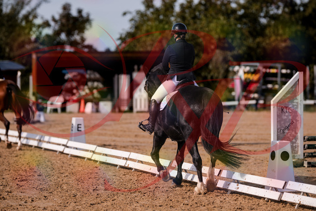 2026_10_03_Siefer-Hof_131722_Z81_66128753 | Professionelle Reitsport-, Turnier- und Eventfotografie von Robert Broda. Galerien mit ausgewählten und bearbeiteten Bildern direkt online ansehen und bestellen.