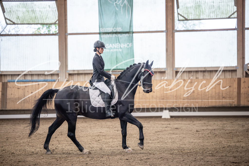 20251011-_3LI1500 | Tierfotografie Pferde, Hunde, Katzen, Haustiere.
Turnierfotografie Reitturniere, Reiten, Springreiten, Dressur in Hanau, dem Main-Kinzig-Kreis und dem Rhein-Main- Gebiet um Frankfurt