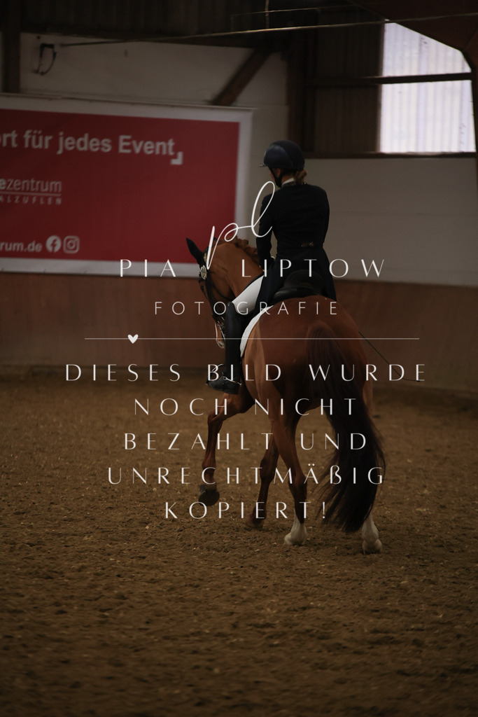 IMGT6073 | pl-fotografie