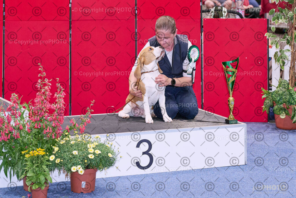 202406_ÖKV-IHA-Tulln24_NZ9_8712 | proPHOTO - Realisiert mit Pictrs.com