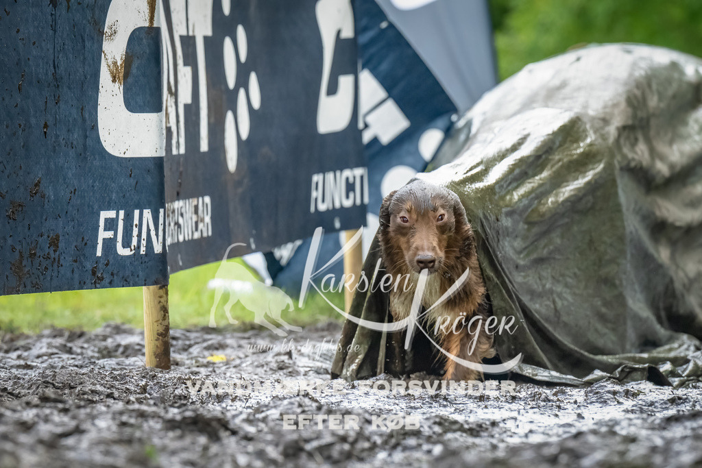 1125_ZZ93569-Bearbeitet | kk-dogfotos