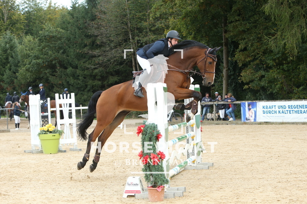 DL2Q7388 | Willkommen bei Brunnmayr - Design & Fotografie – Ihrem Spezialisten für Reitturniere und Pferdeveranstaltungen in Oberösterreich, Salzburg und Bayern! Seit über 17 Jahren sind wir leidenschaftlich dabei.